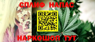 кокс Кингисепп