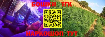 кокс Кингисепп