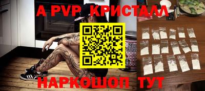 кокс Кингисепп