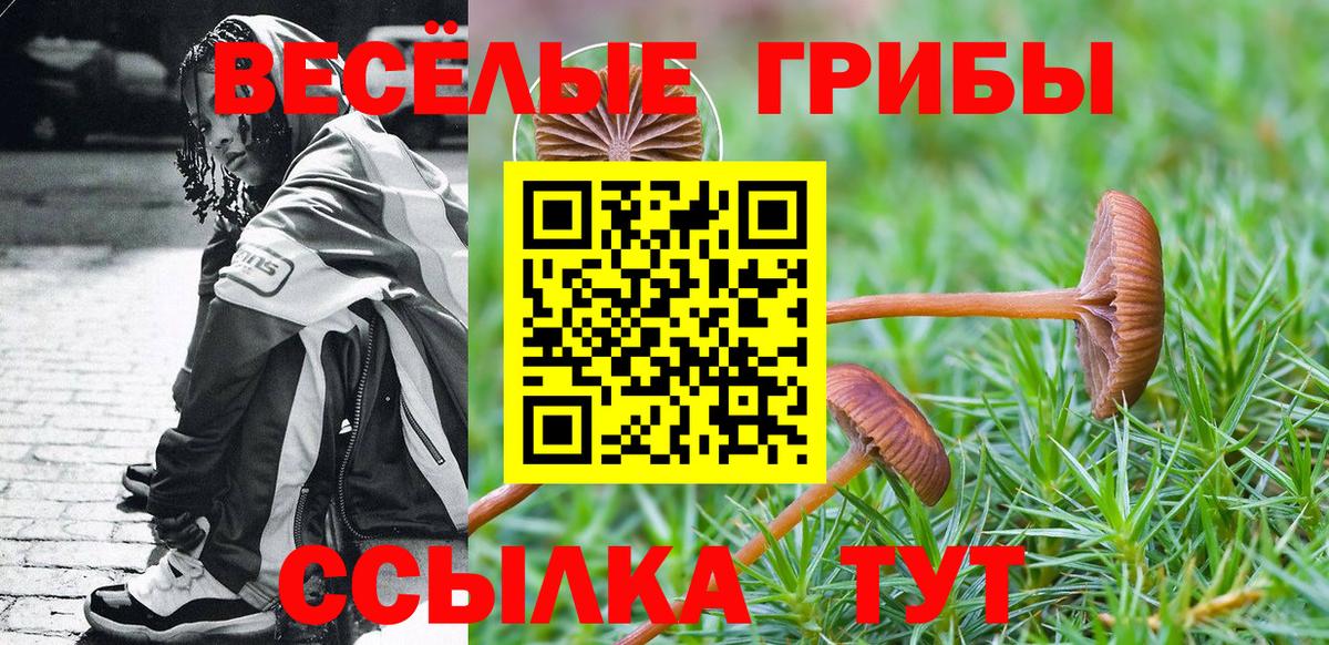 Краснокаменск  Псилоцибиновые грибы Psilocybine cubensis  наркота  Галлюциногенные грибы Cubensis  Вход с VPN 